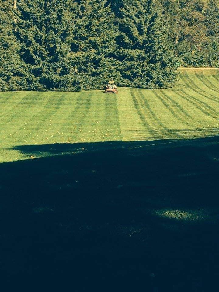 lawn mowing field